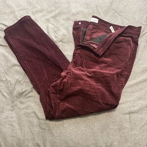 LOFT Women's Burgundy Straight Leg Pants